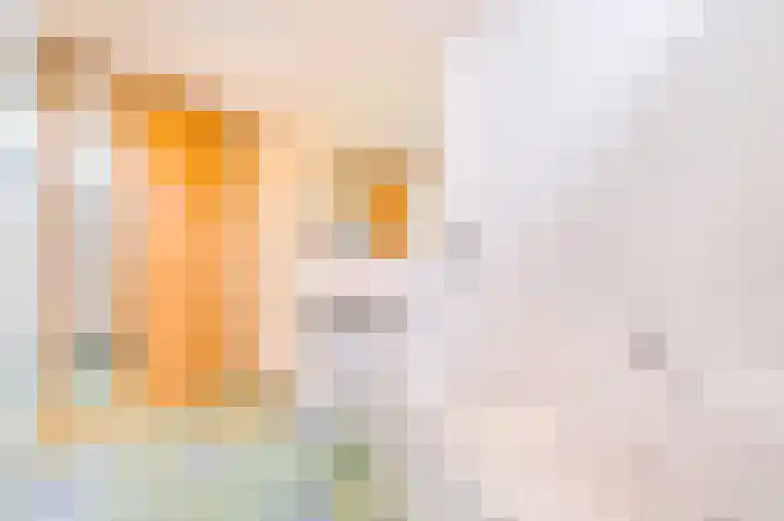 Roerdomp 3 Groningen thumbnail 39