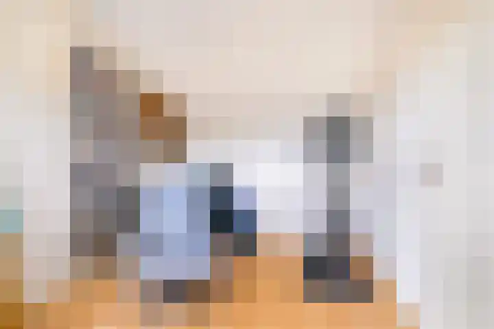 Roerdomp 3 Groningen thumbnail 42