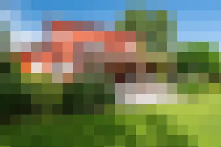 Roerdomp 3 Groningen thumbnail 47