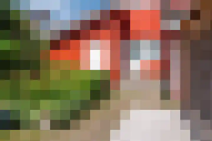 Roerdomp 3 Groningen thumbnail 48