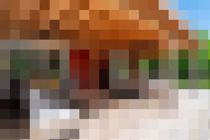 Roerdomp 3 Groningen thumbnail 50