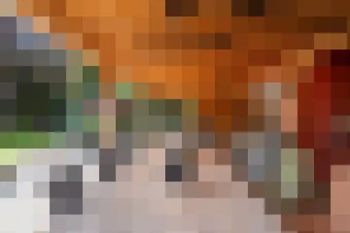 Roerdomp 3 Groningen thumbnail 52