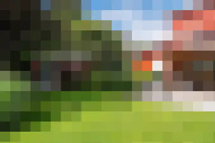 Roerdomp 3 Groningen thumbnail 55