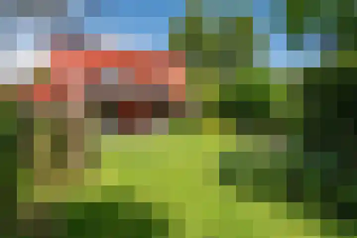 Roerdomp 3 Groningen thumbnail 56