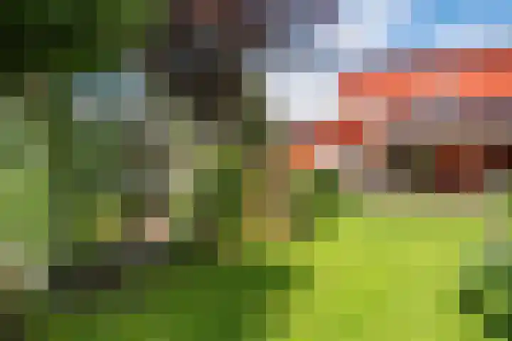 Roerdomp 3 Groningen thumbnail 57