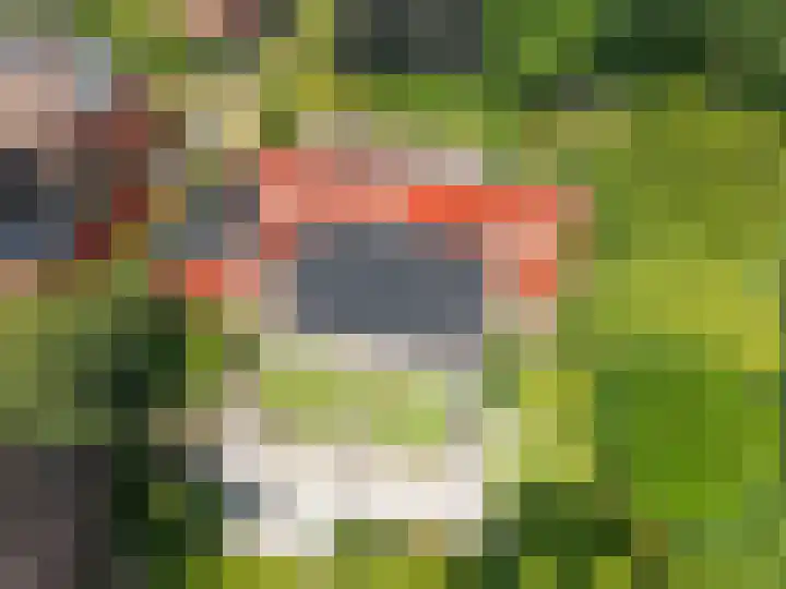 Roerdomp 3 Groningen thumbnail 59