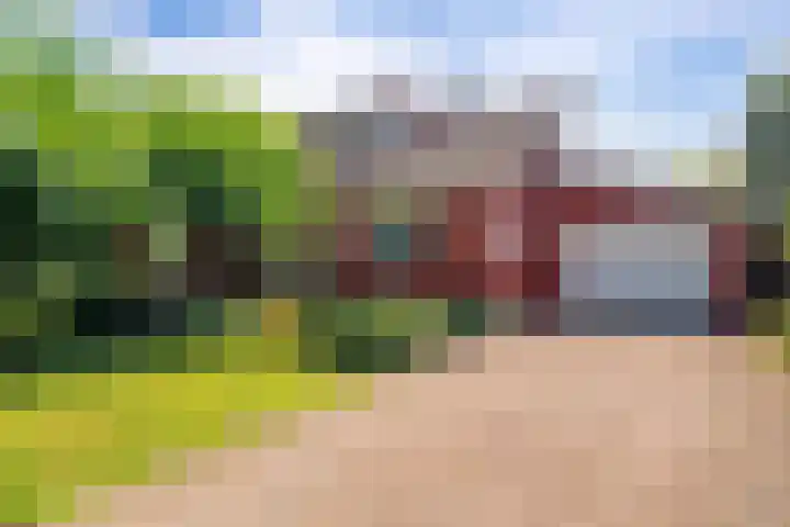 Roerdomp 3 Groningen thumbnail 6