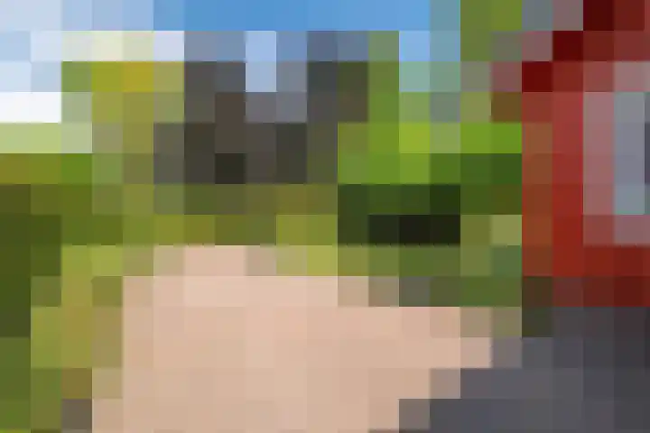 Roerdomp 3 Groningen thumbnail 7