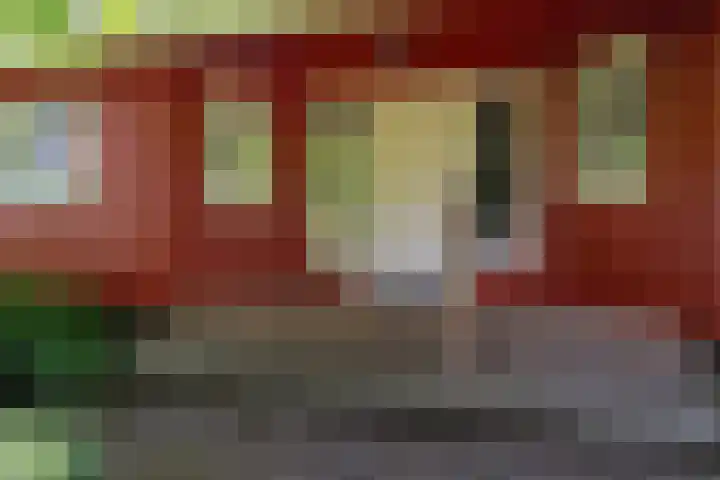 Roerdomp 3 Groningen thumbnail 9