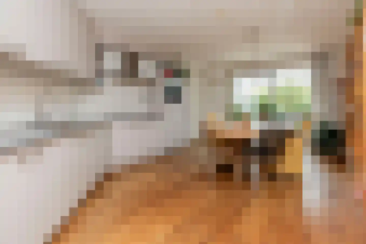 Roerdomp 30 Nieuw-Lekkerland thumbnail 11