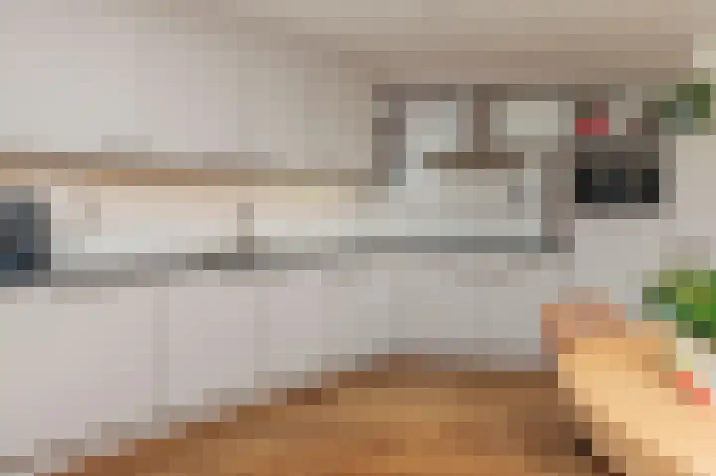 Roerdomp 30 Nieuw-Lekkerland thumbnail 12