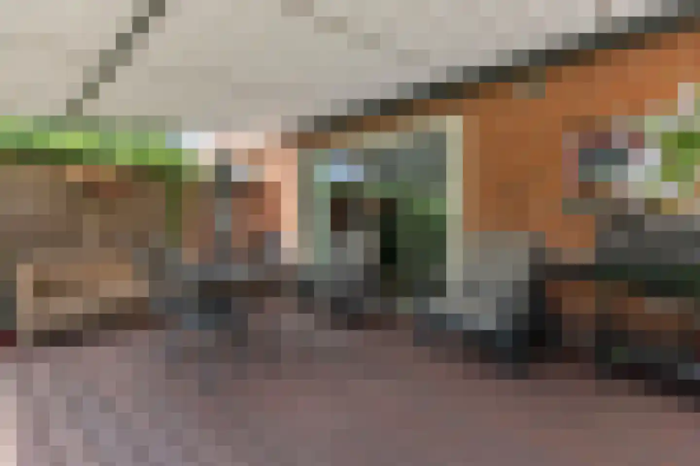 Roerdomp 30 Nieuw-Lekkerland thumbnail 38