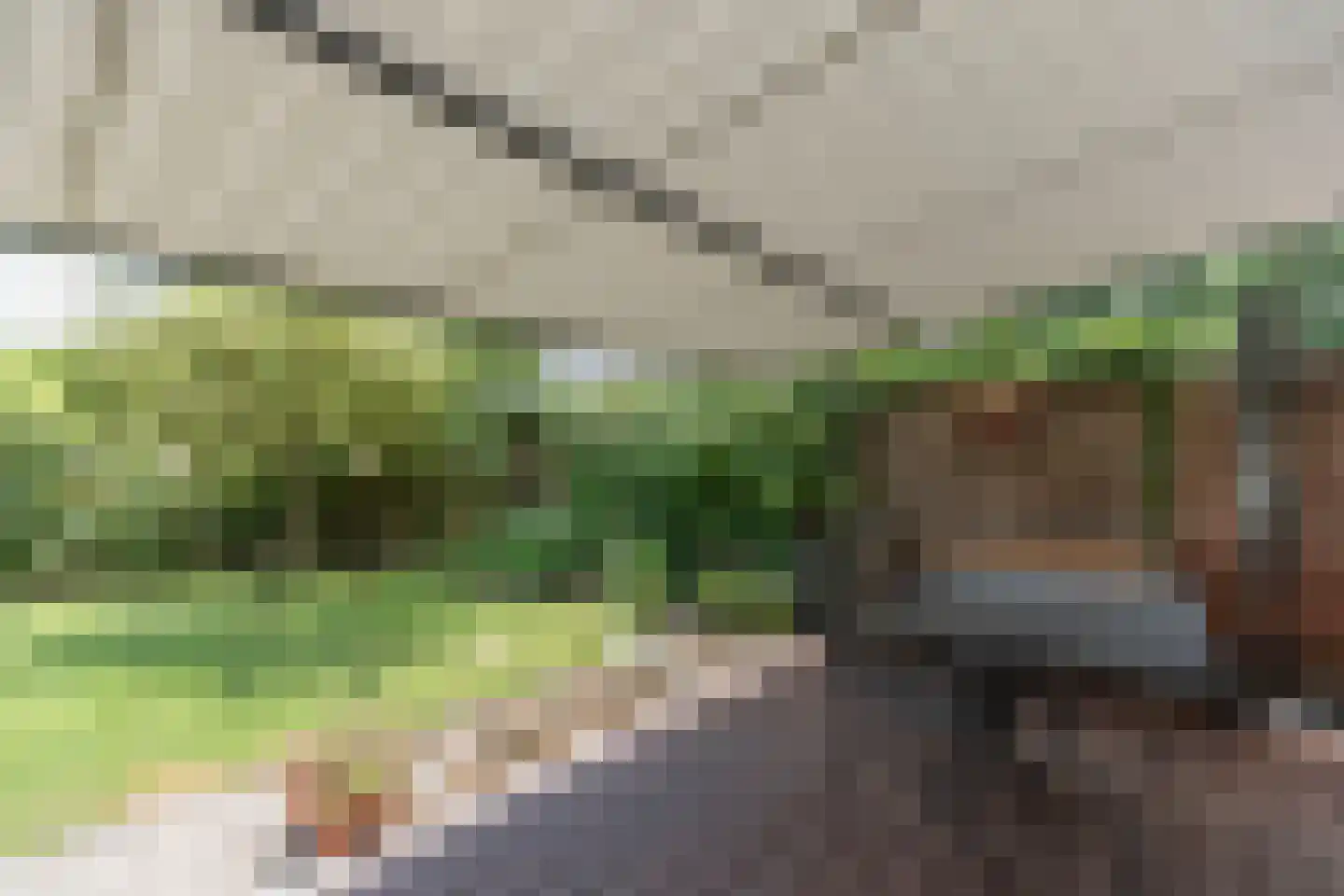 Roerdomp 30 Nieuw-Lekkerland thumbnail 40