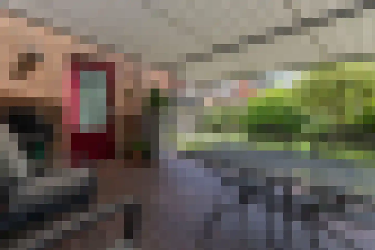 Roerdomp 30 Nieuw-Lekkerland thumbnail 41