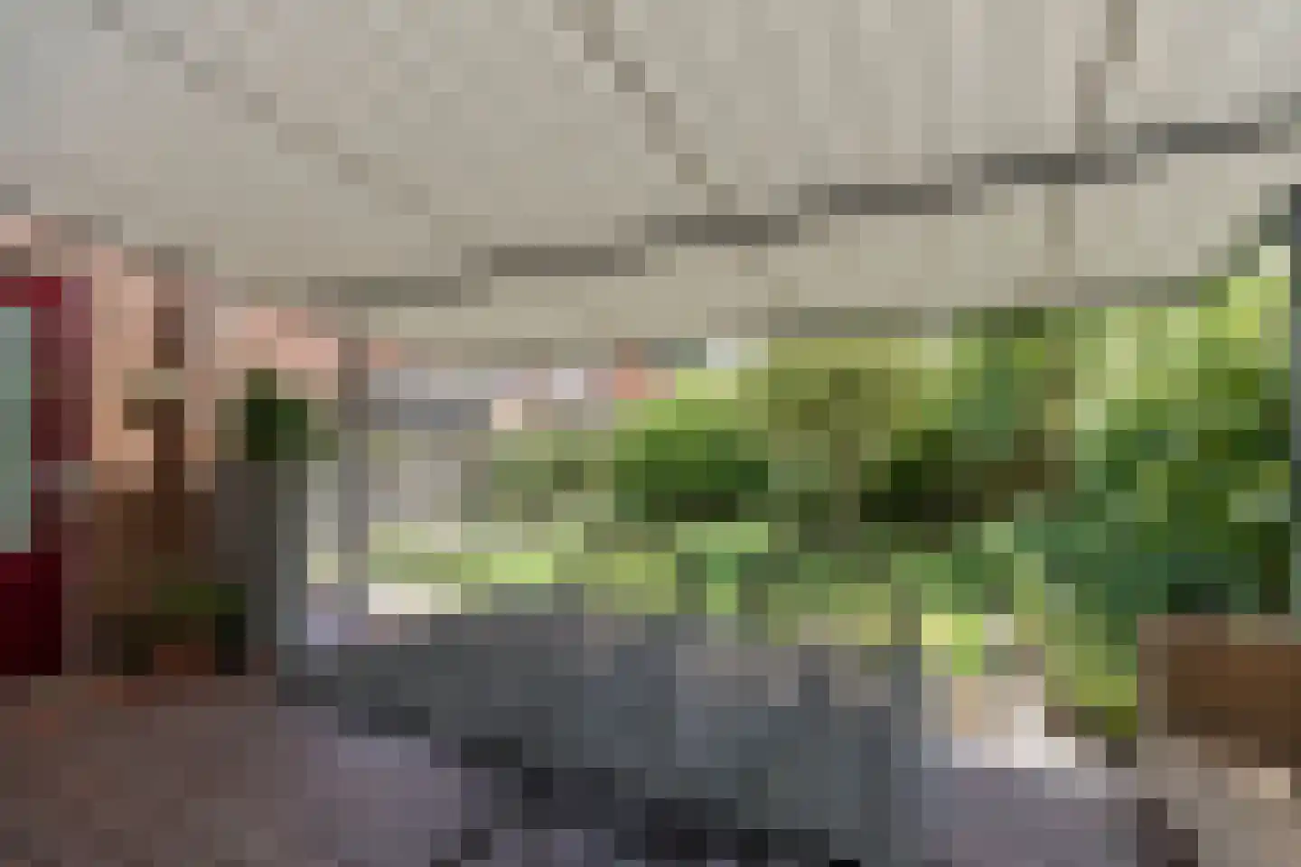 Roerdomp 30 Nieuw-Lekkerland thumbnail 42