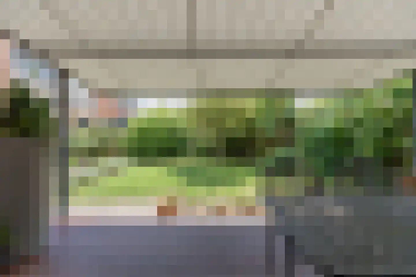 Roerdomp 30 Nieuw-Lekkerland thumbnail 43