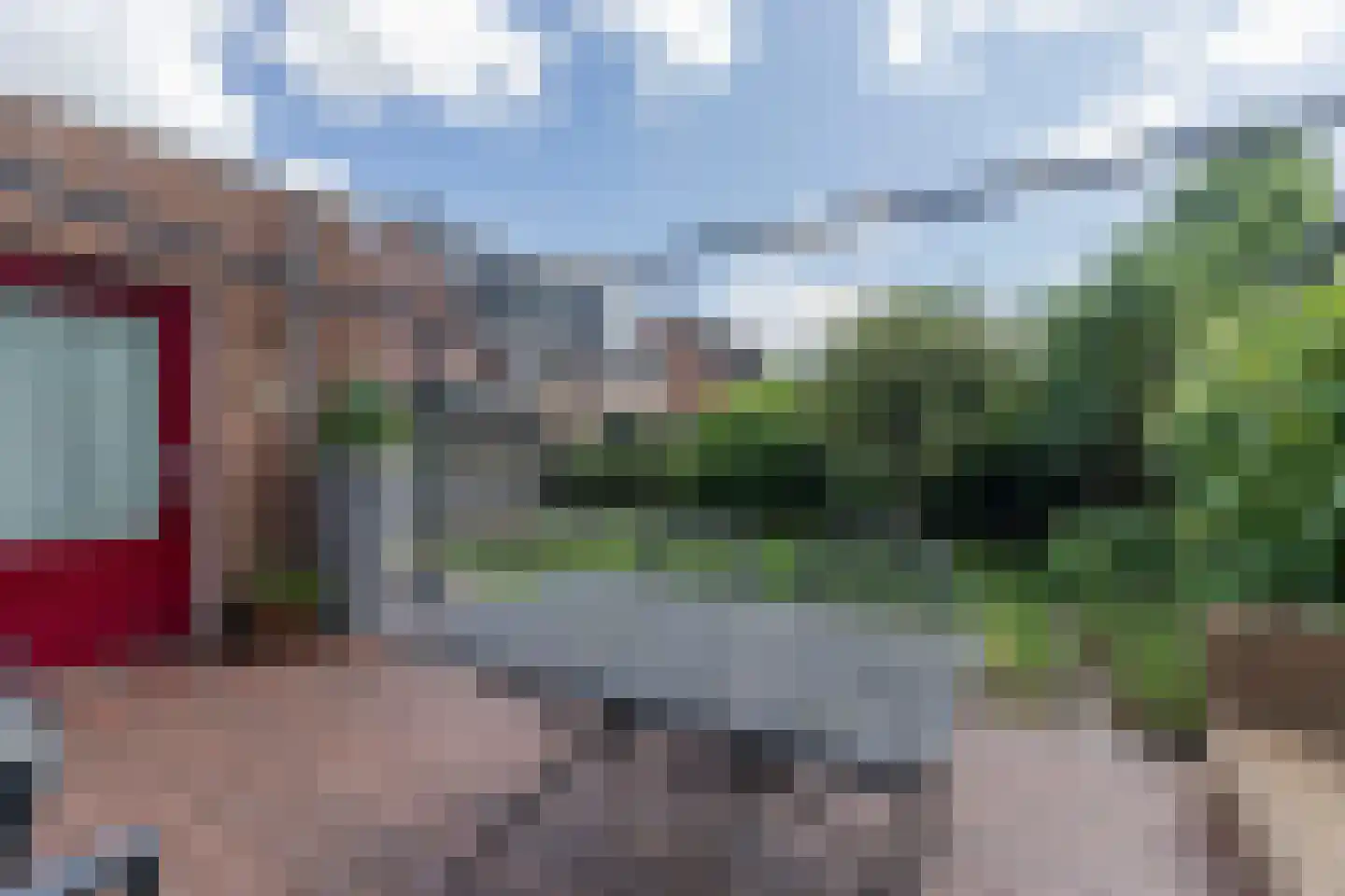 Roerdomp 30 Nieuw-Lekkerland thumbnail 44