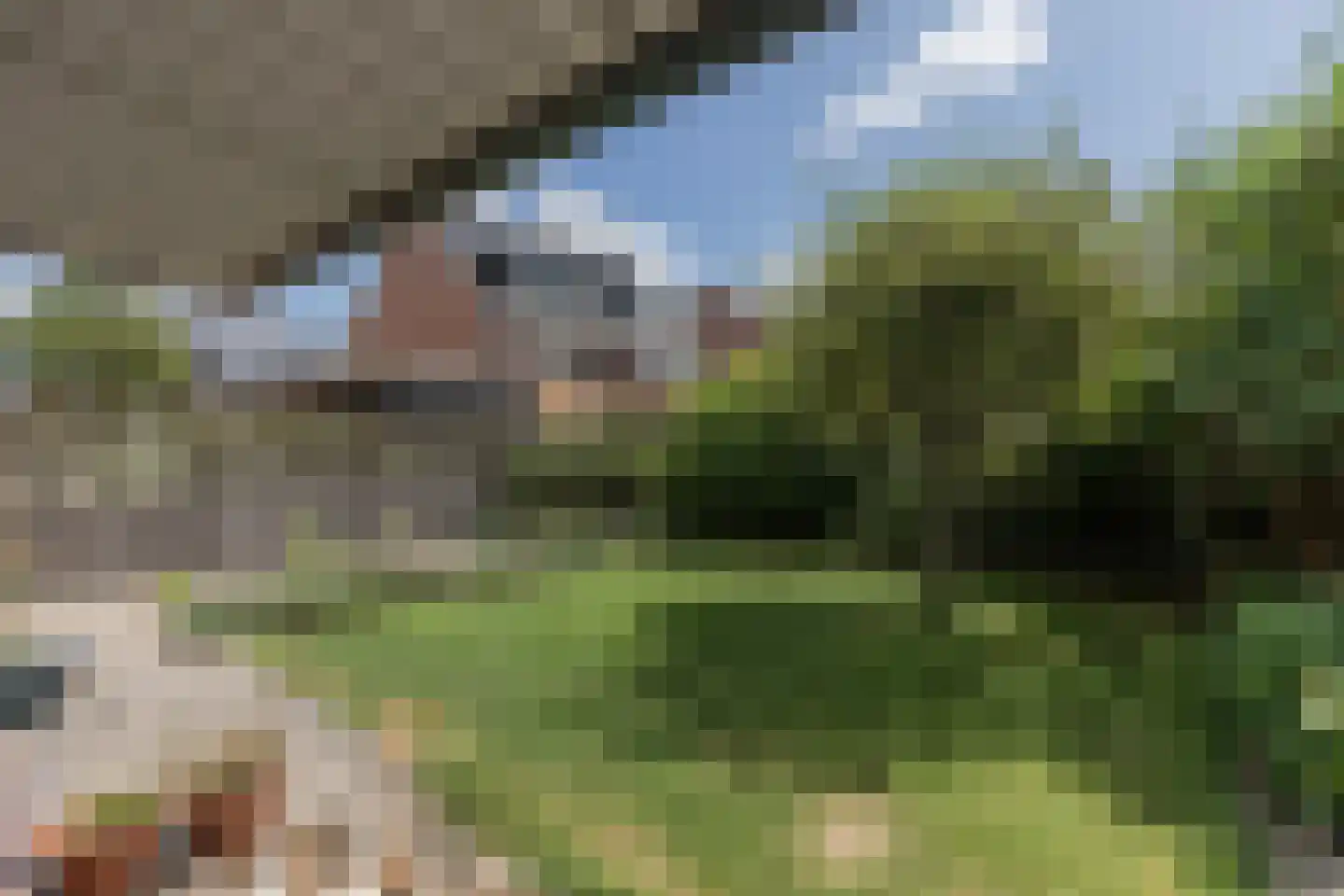 Roerdomp 30 Nieuw-Lekkerland thumbnail 45