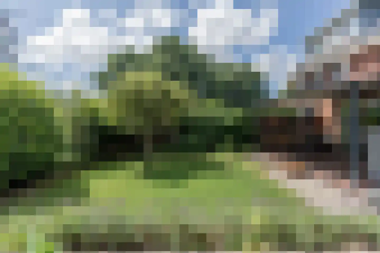 Roerdomp 30 Nieuw-Lekkerland thumbnail 46