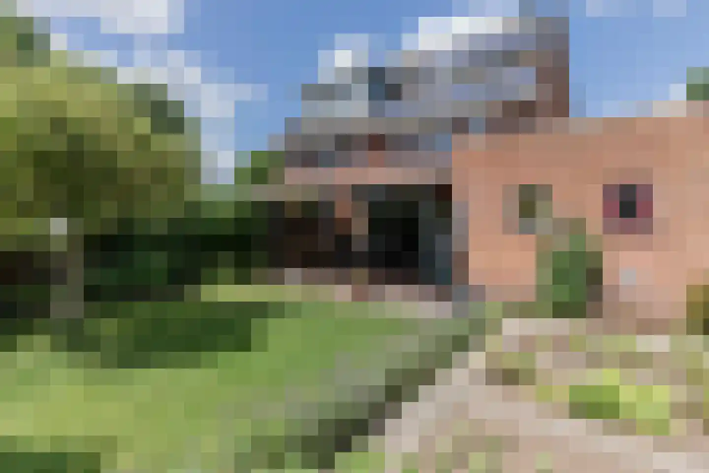 Roerdomp 30 Nieuw-Lekkerland thumbnail 47