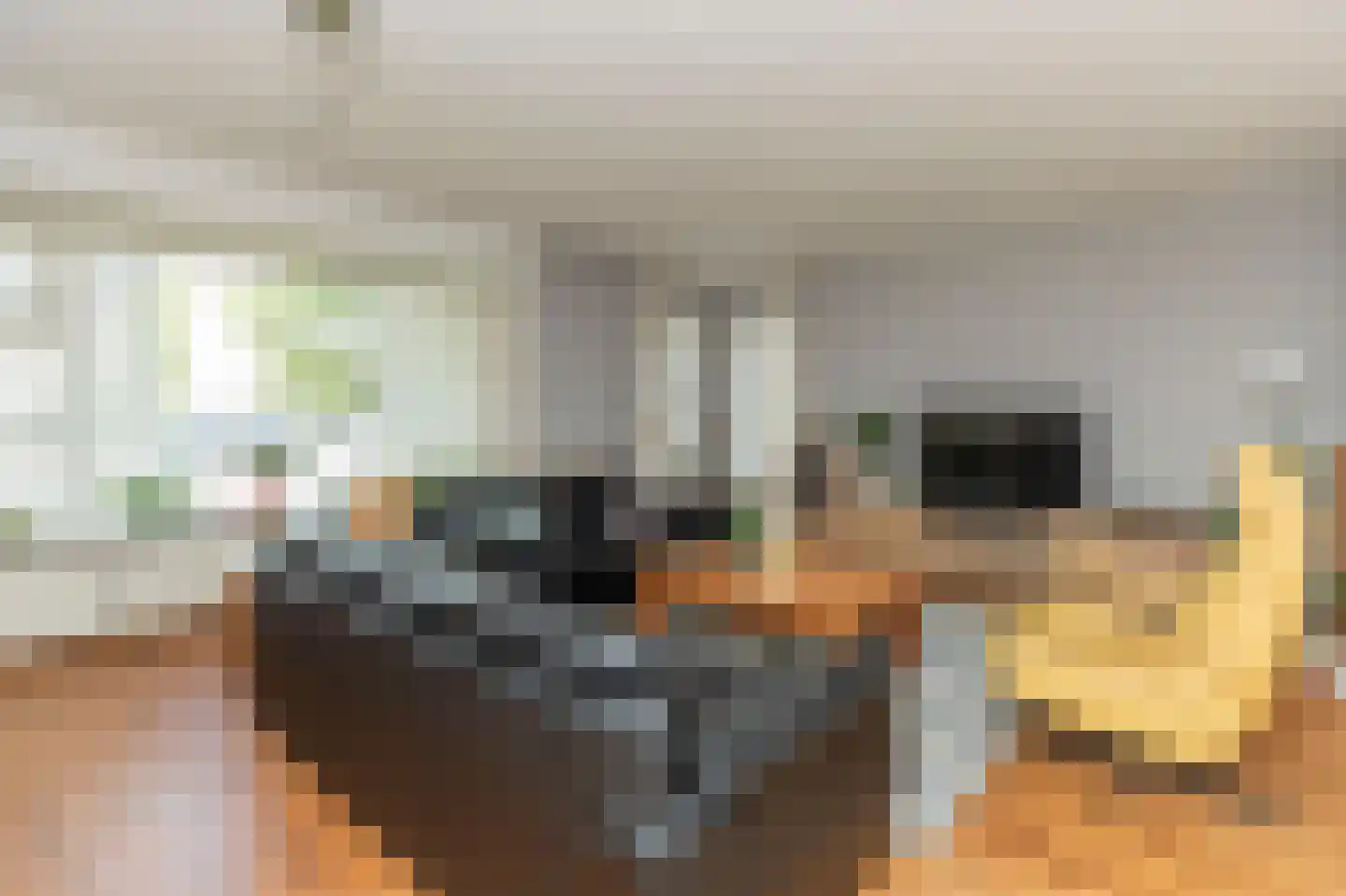 Roerdomp 30 Nieuw-Lekkerland thumbnail 5