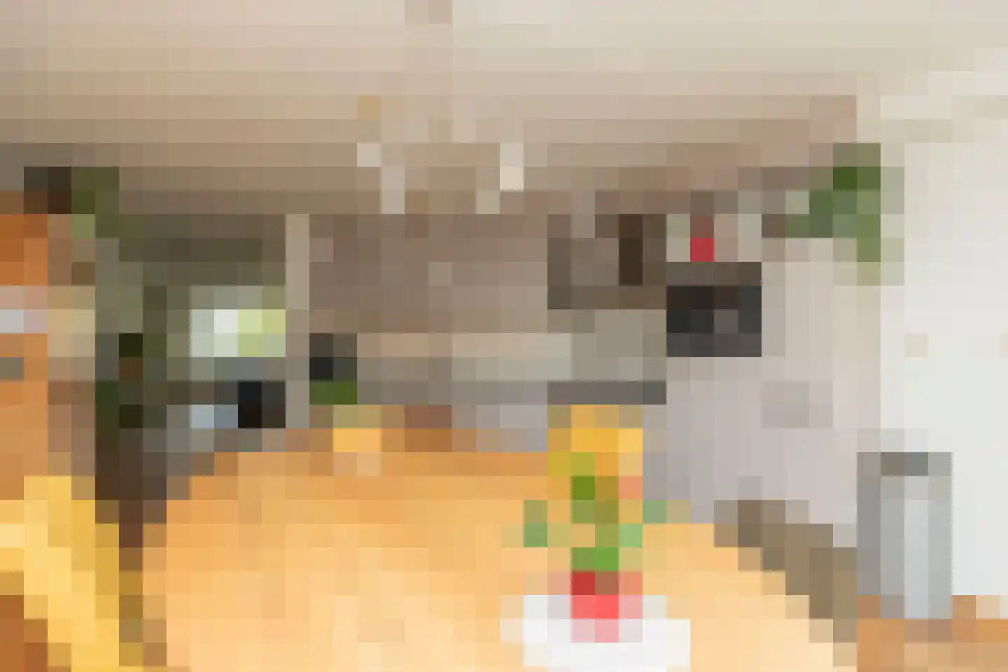 Roerdomp 30 Nieuw-Lekkerland thumbnail 9