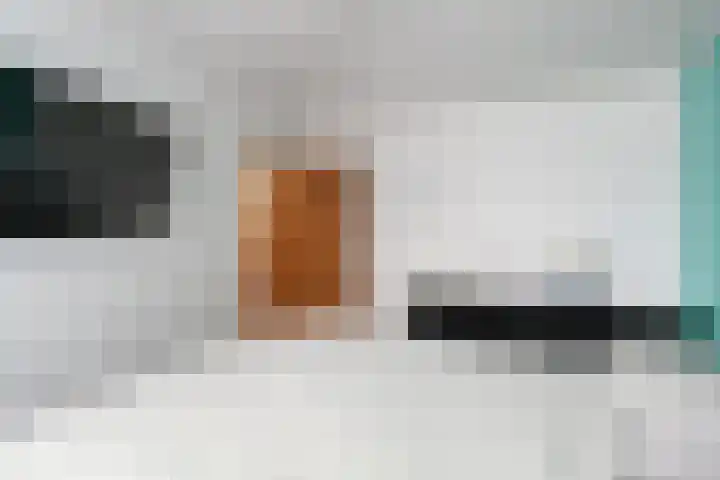 Roerdomp 34 Etten-Leur thumbnail 17
