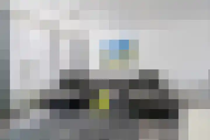 Roerdomp 34 Etten-Leur foto 3
