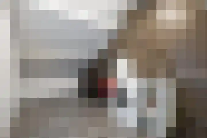 Roerdomp 34 Etten-Leur thumbnail 31