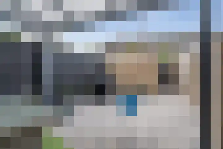 Roerdomp 34 Etten-Leur thumbnail 32