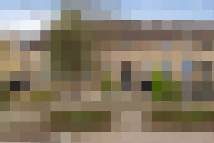 Roerdomp 34 Etten-Leur thumbnail 39