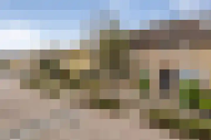 Roerdomp 34 Etten-Leur thumbnail 40