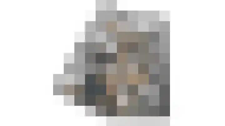Roerdomp 34 Etten-Leur thumbnail 44