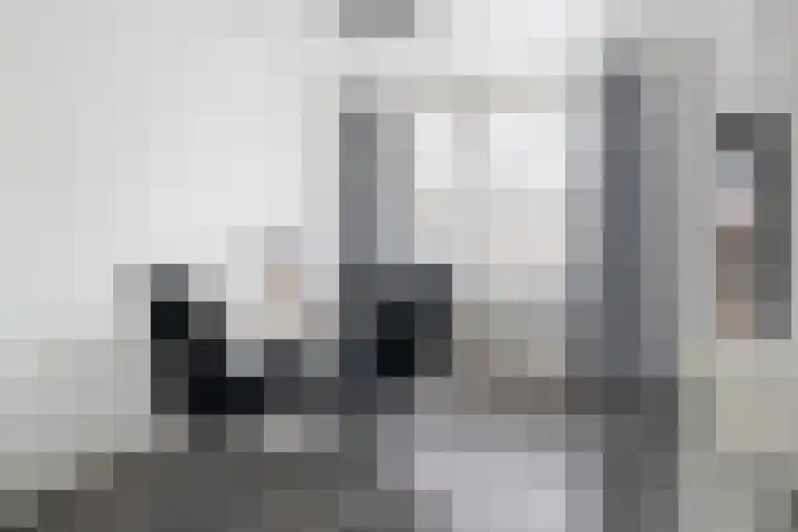 Roerdomp 34 Etten-Leur thumbnail 6