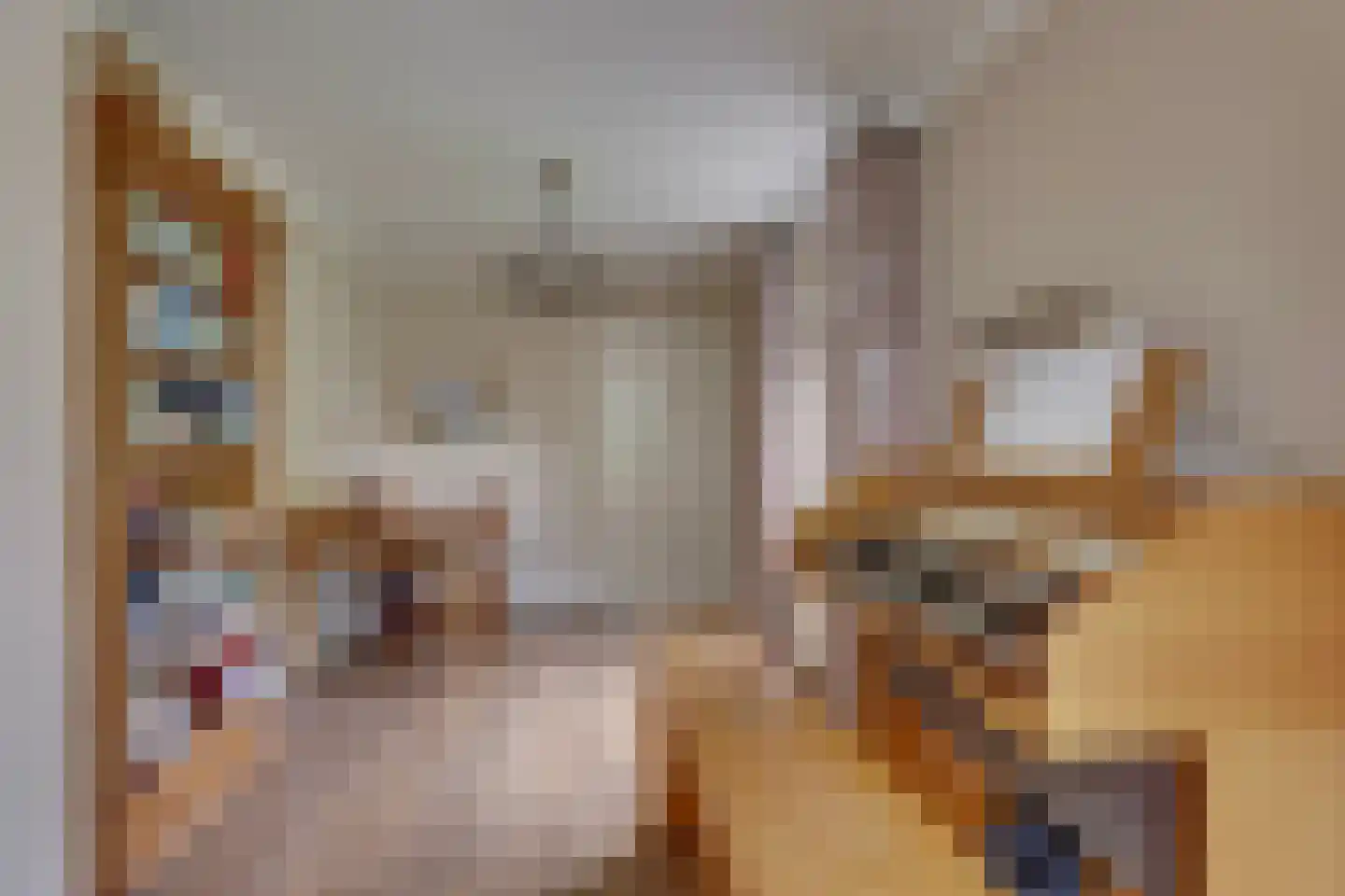 Roerdomp 36 Rijssen thumbnail 19