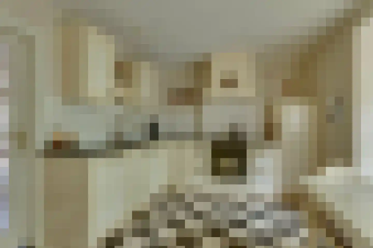 Roerdomp 36 Rijssen thumbnail 23