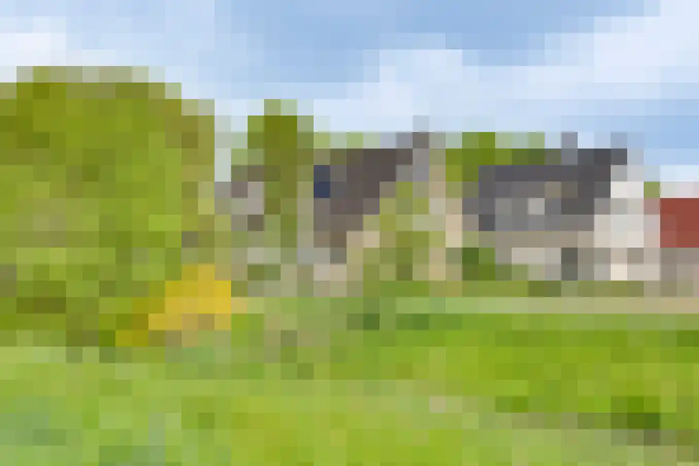 Roerdomp 36 Rijssen foto 3