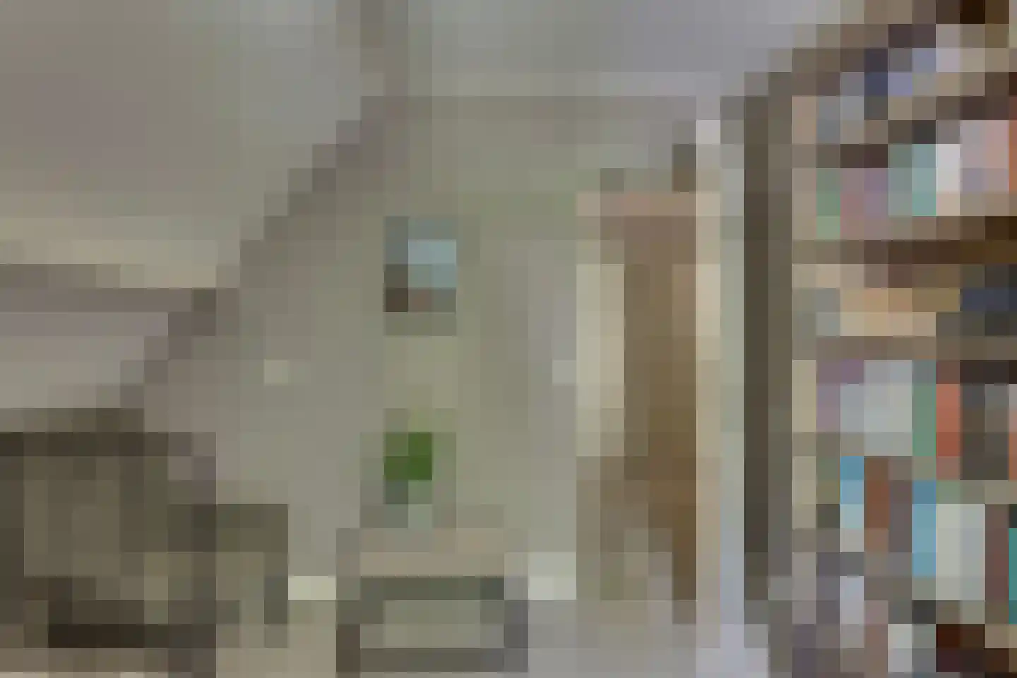 Roerdomp 36 Rijssen thumbnail 37