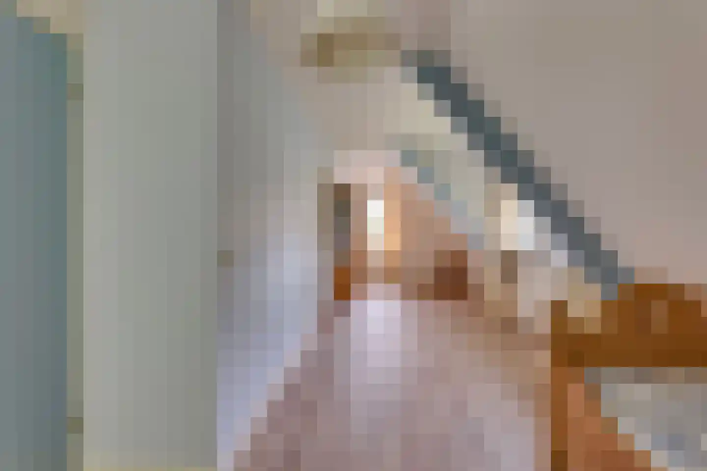 Roerdomp 36 Rijssen thumbnail 40