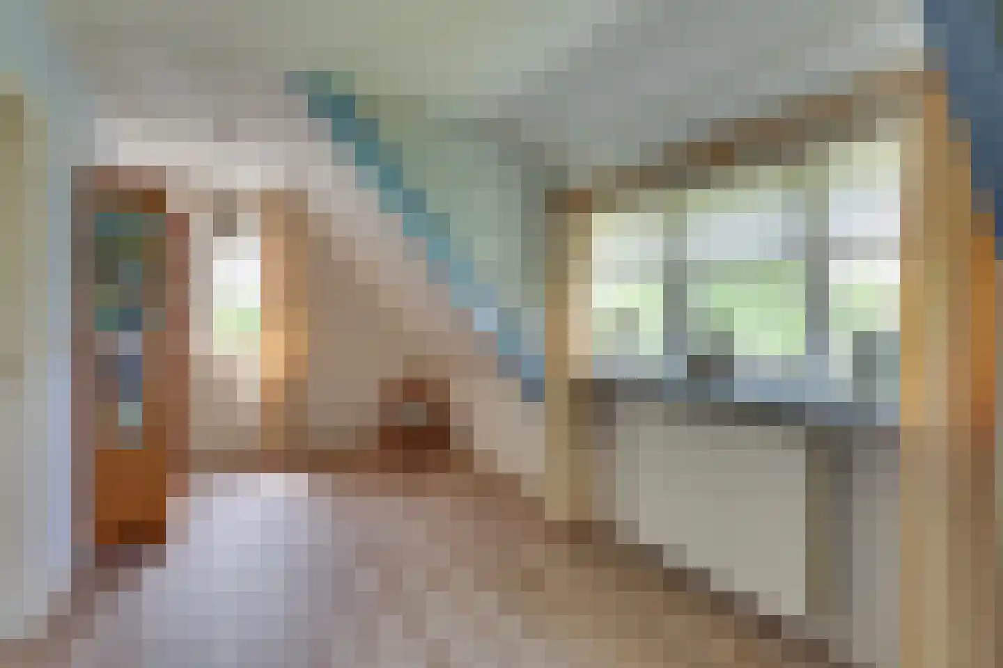 Roerdomp 36 Rijssen thumbnail 41