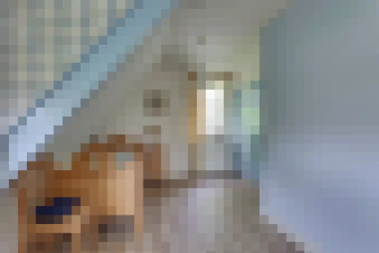 Roerdomp 36 Rijssen thumbnail 42