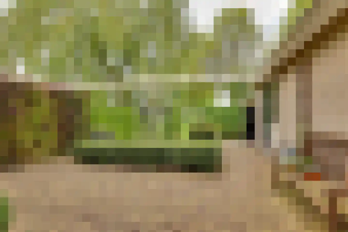 Roerdomp 36 Rijssen thumbnail 43