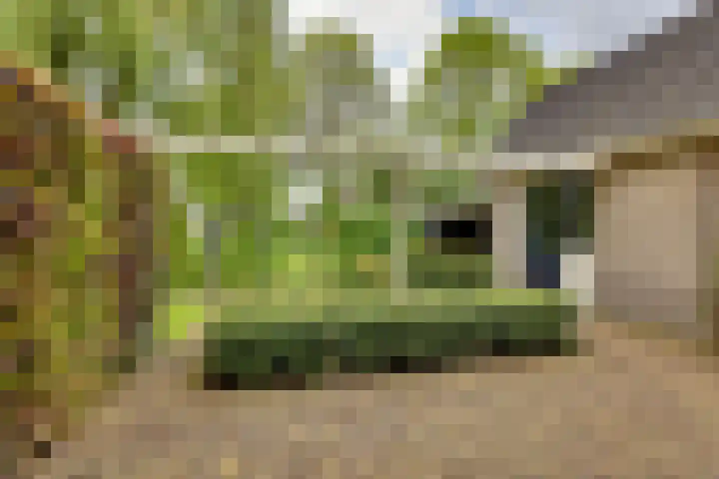 Roerdomp 36 Rijssen thumbnail 44
