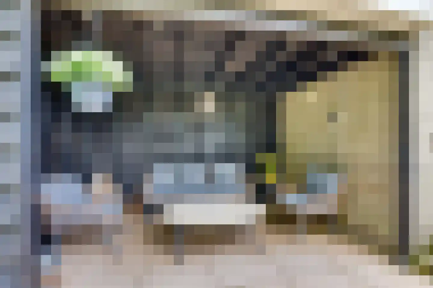 Roerdomp 36 Rijssen thumbnail 47