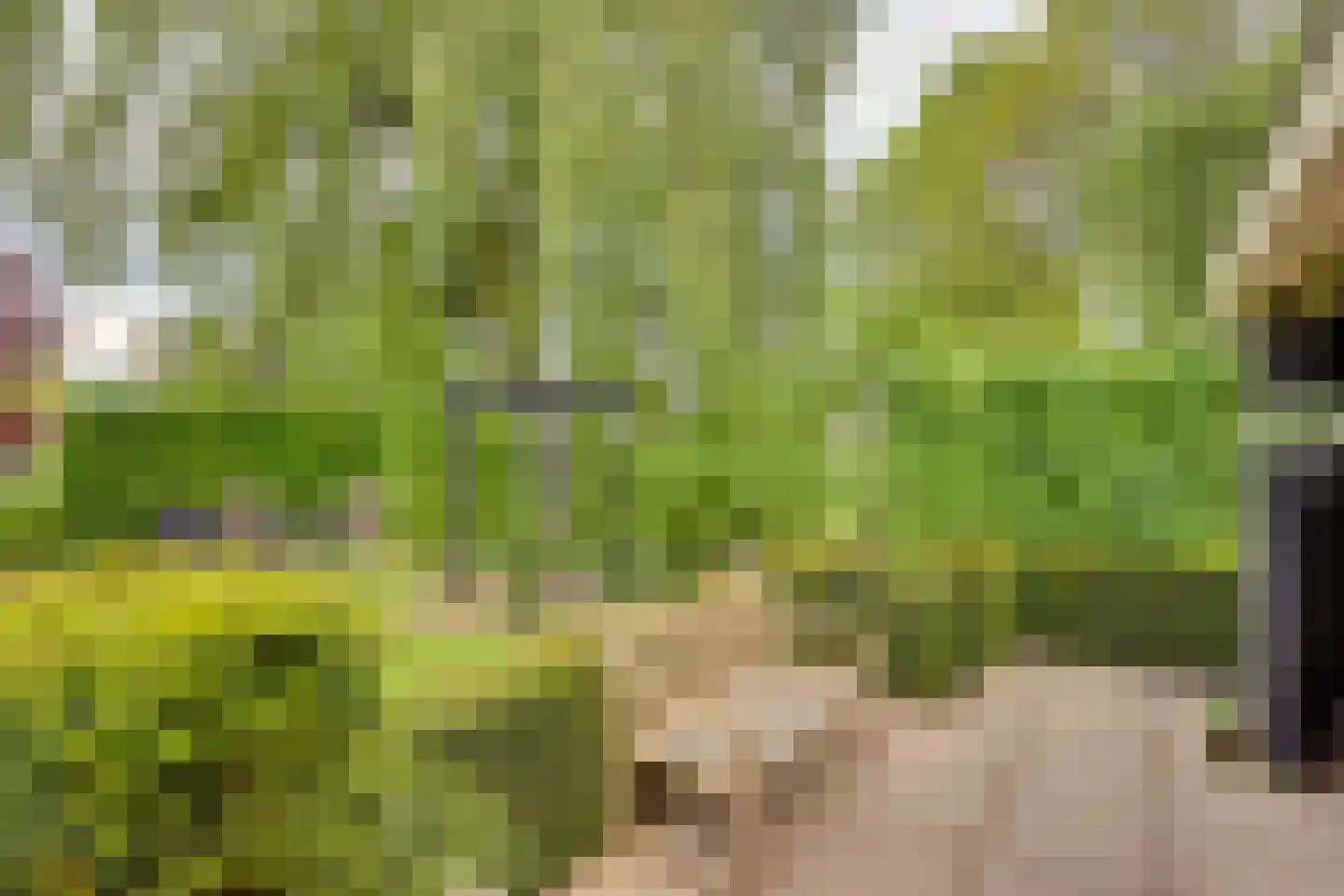 Roerdomp 36 Rijssen thumbnail 48