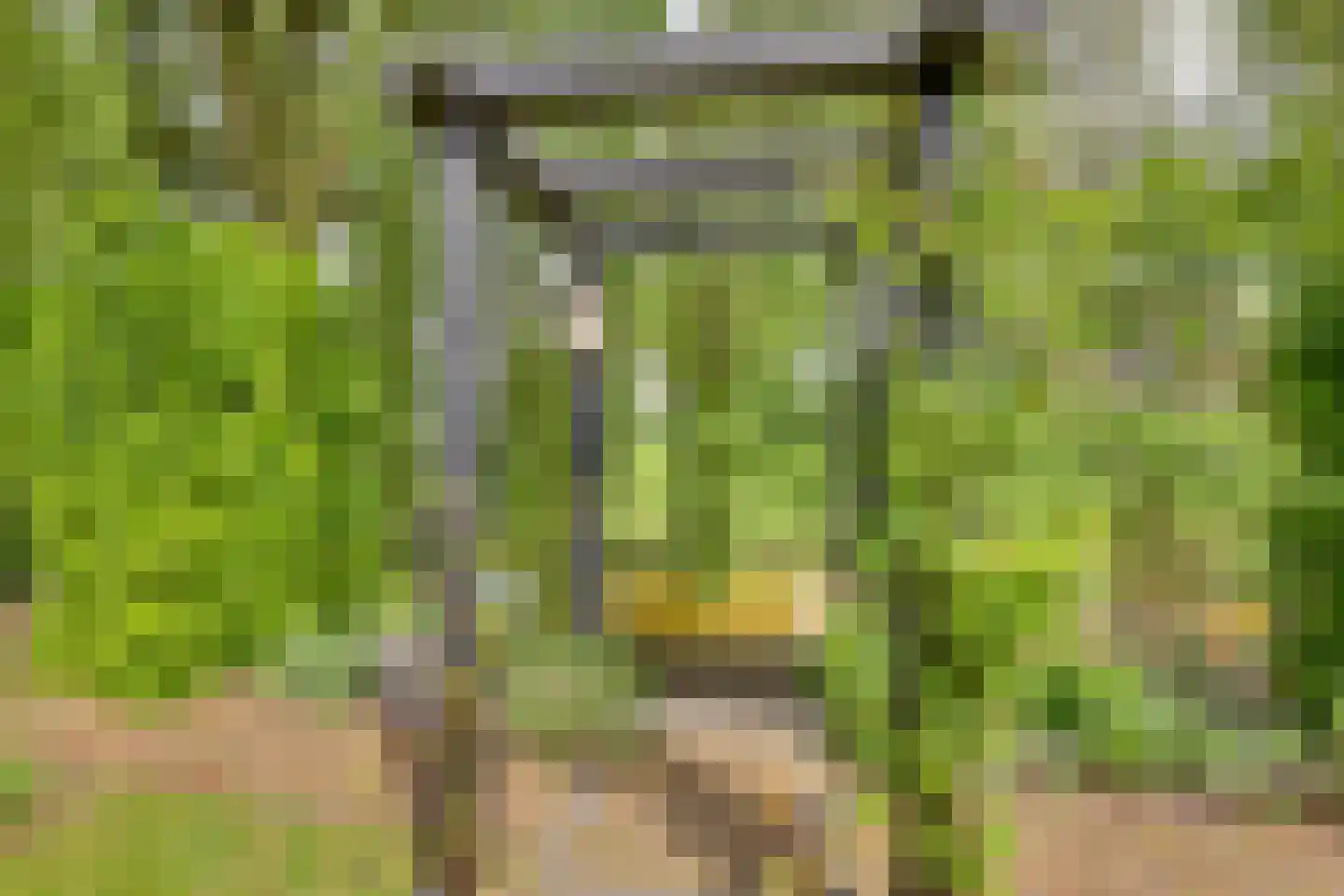 Roerdomp 36 Rijssen thumbnail 49