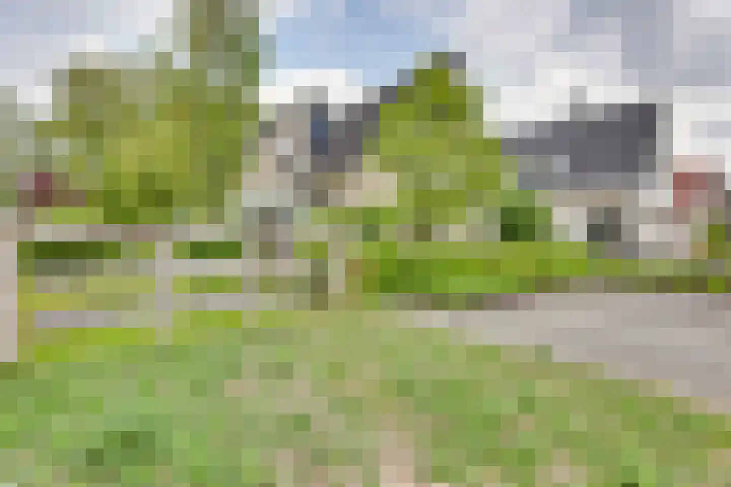 Roerdomp 36 Rijssen thumbnail 5