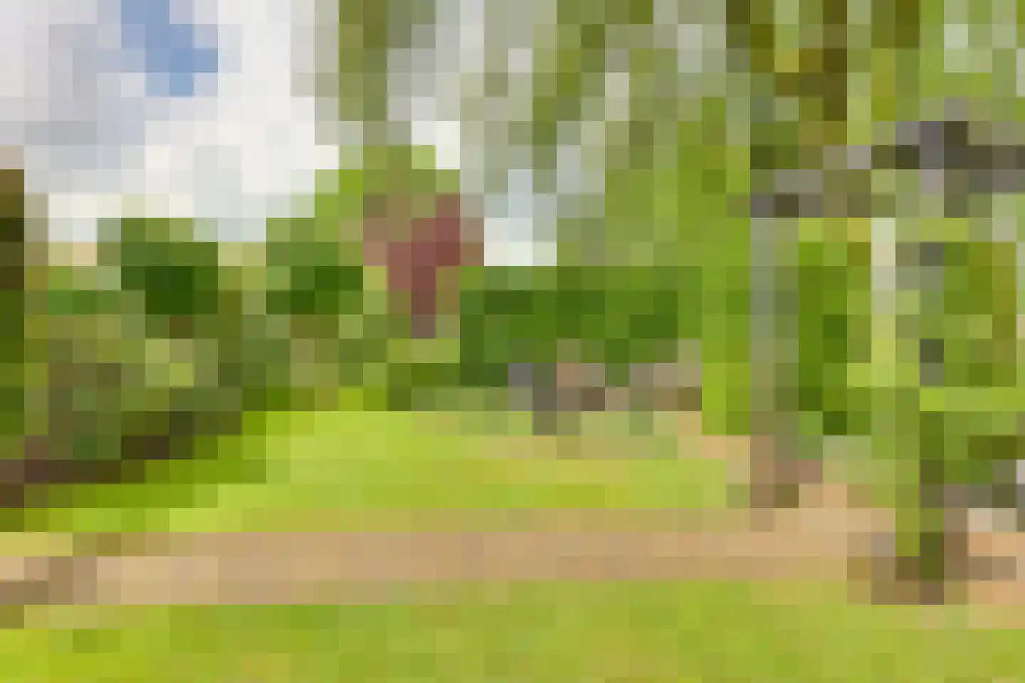 Roerdomp 36 Rijssen thumbnail 50