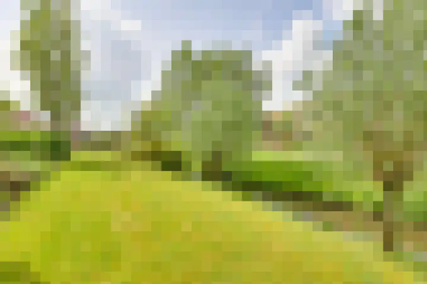 Roerdomp 36 Rijssen thumbnail 52