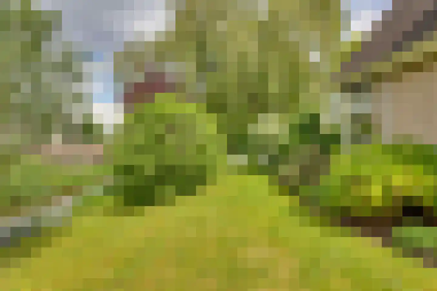 Roerdomp 36 Rijssen thumbnail 54